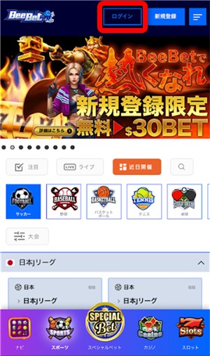 ブックメーカー 出金 ログイン