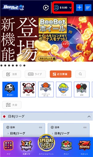 ブックメーカー 出金 メニュー