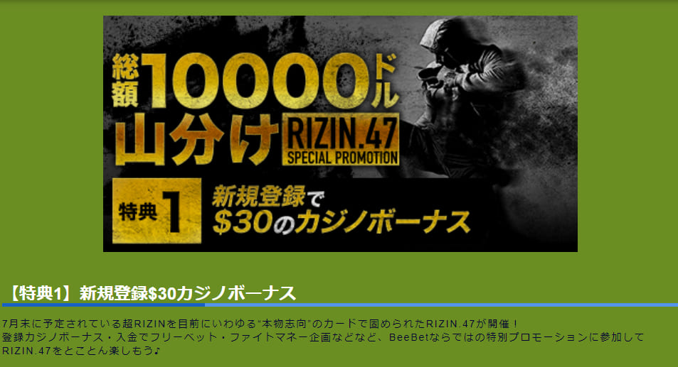 【30ドル】ビーベットで貰える入金不要ボーナスの詳細