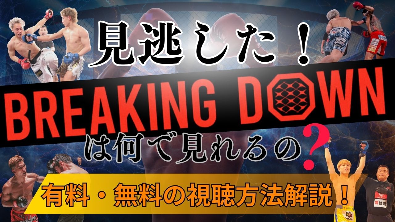 見逃したブレイキングダウンは何で見れる？有料・無料の視聴方法を解説！