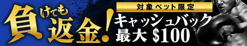 ビーベットの限定プロモーション